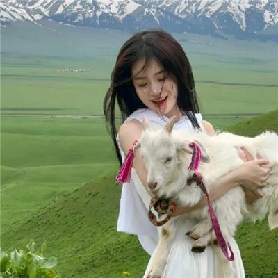 犯罪元素