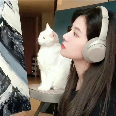 缉凶双宝